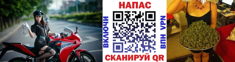 купить  цена  Кирс  Каннабис сатива 